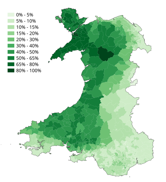 Exploring the Unique Charm of Welsh Language and Culture
