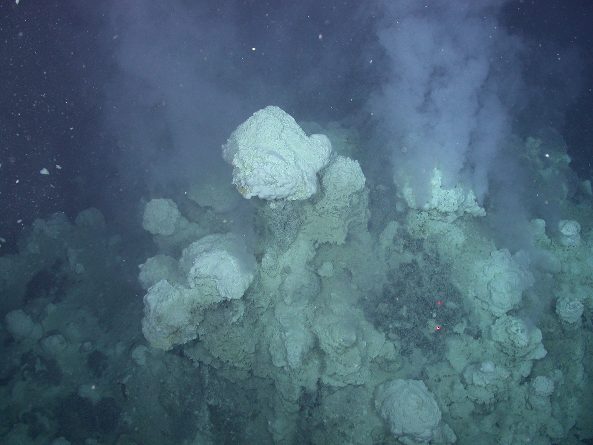 The Enigmatic World of Deep-Sea Hydrothermal Vent Ecosystems
